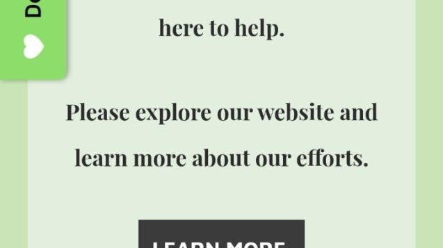 WhatsApp Image 2025-09-11 at 04.35.07_3317b772